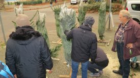 Unter Nachbarn: Weihnachtsbäume für die Vorgärten im Lettekiez. Bild: QM Letteplatz