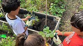 Mit Begeisterung pflanzten die jungen Gärtnerinnen und Gärtner in einem Hochbeet des Projekts „Unser Garten, unser Nachbar:in“. (Bild: Julian Krischan)